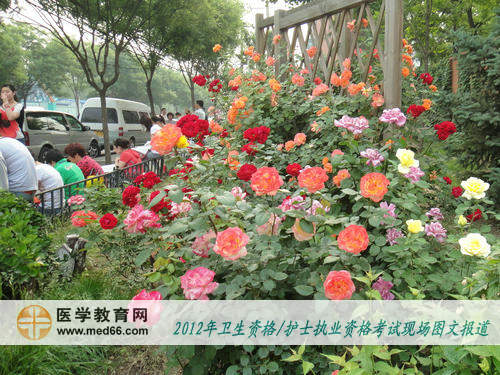 優(yōu)雅的衛(wèi)生職稱(chēng)考試環(huán)境