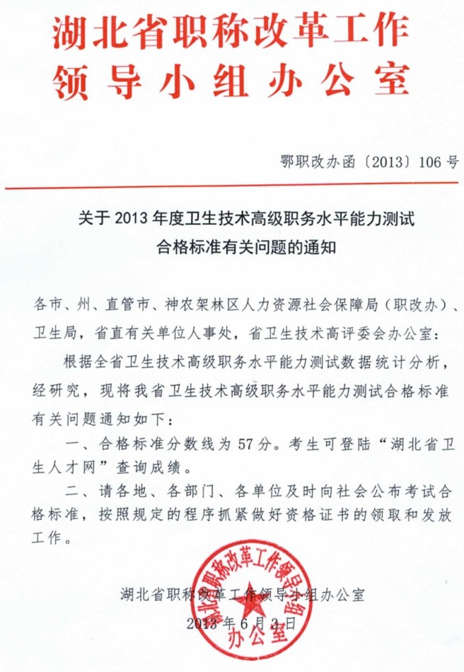 關于2013年度衛(wèi)生技術高級職務水平能力測試合格標準有關問題的通知