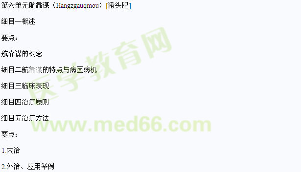 2013年中醫(yī)（狀醫(yī)）執(zhí)業(yè)醫(yī)師壯醫(yī)外（傷、皮）科學(xué)（師承與確有專長）