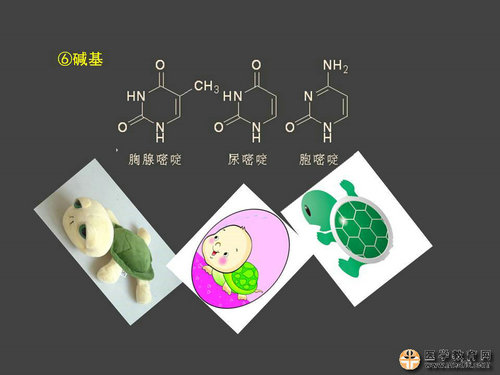 執(zhí)業(yè)藥師藥物化學(xué)官能團(tuán)-記憶技巧