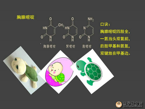 執(zhí)業(yè)藥師藥物化學(xué)官能團(tuán)-記憶技巧