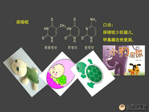 執(zhí)業(yè)藥師藥物化學(xué)官能團(tuán)-記憶技巧