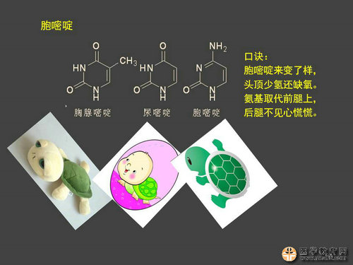 執(zhí)業(yè)藥師藥物化學(xué)官能團(tuán)-記憶技巧