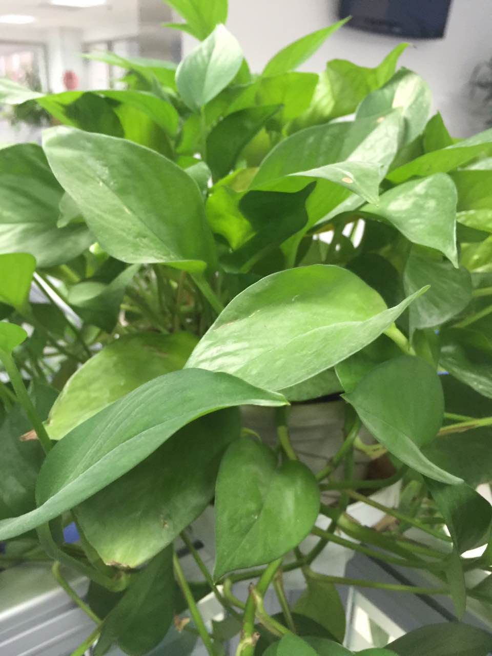 早泄常做檢查項目有哪些？早泄如何預防與保??？