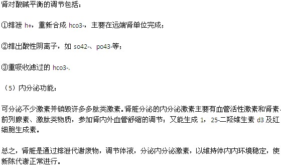 人體腎臟主要有哪些功能？