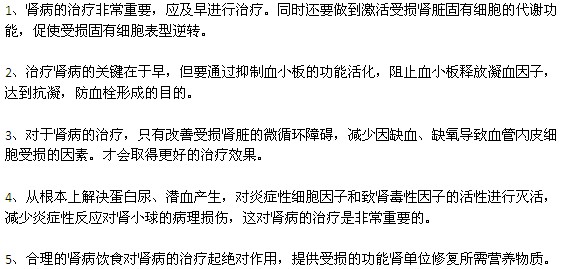 腎病應(yīng)遵循的治療原則