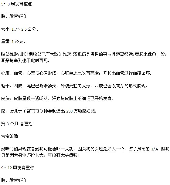 寶寶在媽媽肚子里是怎樣發(fā)育的、