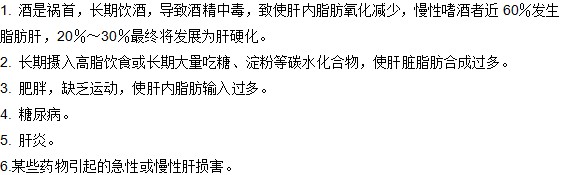 產(chǎn)生脂肪肝的六大原因有哪些？