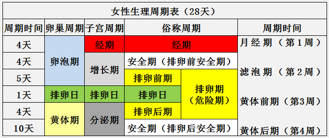女性生理周期表（圖）詳細介紹