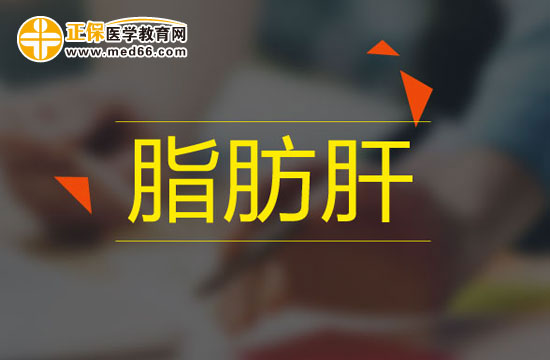 脂肪肝患者應(yīng)該從哪些方面進(jìn)行治療？