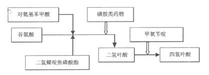 磺胺類藥物作化學(xué)過(guò)程