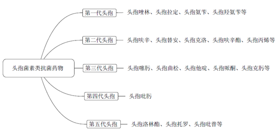 藥學(xué)專業(yè)知識二知識點--頭孢菌素類抗菌藥物
