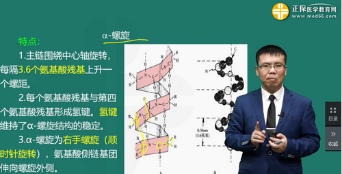 蛋白質的化學