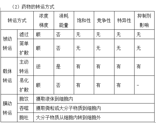藥物體內(nèi)過程基礎(chǔ)知識--執(zhí)業(yè)藥師考試知識點