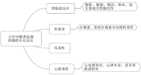 大環(huán)內(nèi)酯類(lèi)抗菌藥物作用機(jī)制/不良反應(yīng)