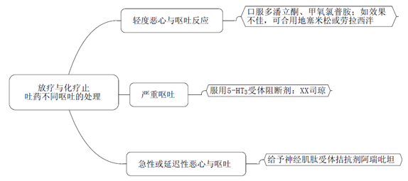 藥學(xué)專業(yè)知識二輔導(dǎo)精華--放療與化療止吐藥