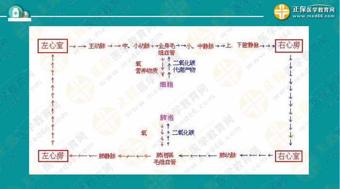 醫(yī)療衛(wèi)生考試筆試備考指導來了，共計2863頁書！怎么學？
