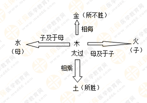 專業(yè)師資帶你學(xué)（五）：執(zhí)業(yè)藥師《中藥綜》五行學(xué)說！學(xué)習(xí)要有方法！