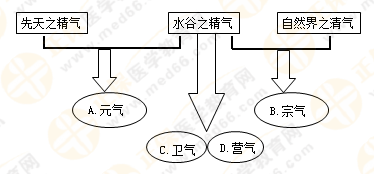 專業(yè)師資帶你學(xué)（八）：執(zhí)業(yè)藥師《中藥綜》生命活動的基本物質(zhì)！善用圖解！