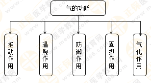 專業(yè)師資帶你學(xué)（八）：執(zhí)業(yè)藥師《中藥綜》生命活動的基本物質(zhì)！善用圖解！