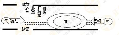 專業(yè)師資帶你學(xué)（八）：執(zhí)業(yè)藥師《中藥綜》生命活動的基本物質(zhì)！善用圖解！