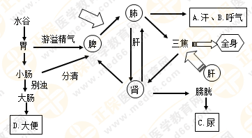 專業(yè)師資帶你學(xué)（八）：執(zhí)業(yè)藥師《中藥綜》生命活動的基本物質(zhì)！善用圖解！