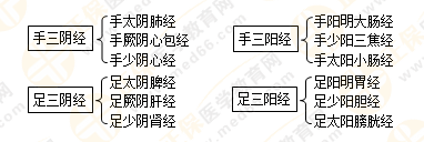 專業(yè)師資帶你學(xué)（九）：執(zhí)業(yè)藥師《中藥綜》經(jīng)絡(luò)與經(jīng)絡(luò)系統(tǒng)！5圖2表！