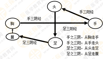 專業(yè)師資帶你學(xué)（九）：執(zhí)業(yè)藥師《中藥綜》經(jīng)絡(luò)與經(jīng)絡(luò)系統(tǒng)！5圖2表！