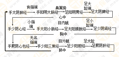 專業(yè)師資帶你學(xué)（九）：執(zhí)業(yè)藥師《中藥綜》經(jīng)絡(luò)與經(jīng)絡(luò)系統(tǒng)！5圖2表！