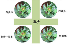 “神藥”的招牌一朝被毀！你對(duì)這個(gè)執(zhí)業(yè)藥師?？妓幜私舛嗌伲?！