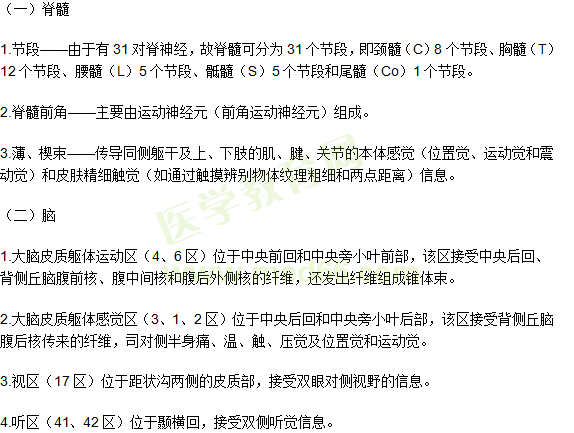 神經系統(tǒng)解剖