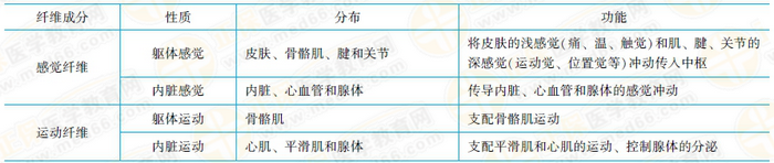 脊神經的纖維成分及其分布和功能 