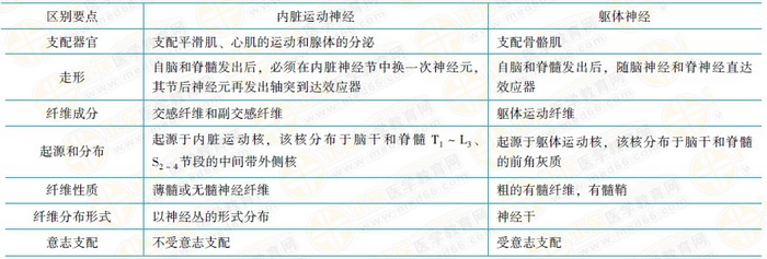 內臟運動神經與軀體運動神經的區(qū)別 