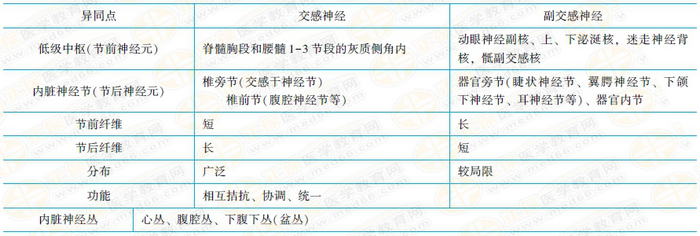 交感神經與副交感神經的異同 