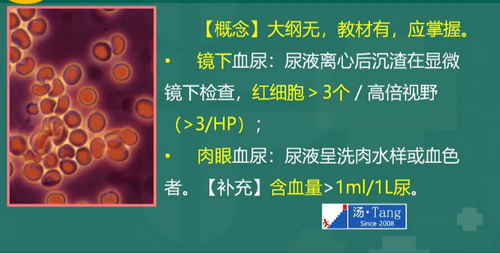 湯以恒2019臨床執(zhí)業(yè)醫(yī)師泌尿系統(tǒng)科目免費視頻課更新！
