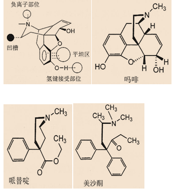 醫(yī)學教育網執(zhí)業(yè)西藥師：《答疑周刊》2019年第33期