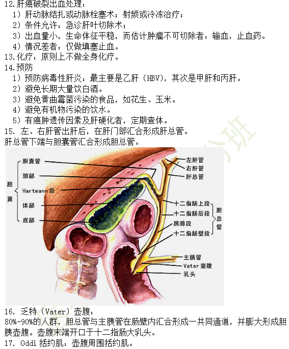 30個有關(guān)肝炎、膽囊炎相關(guān)考點匯總-臨床執(zhí)業(yè)醫(yī)師消化系統(tǒng)第九期！