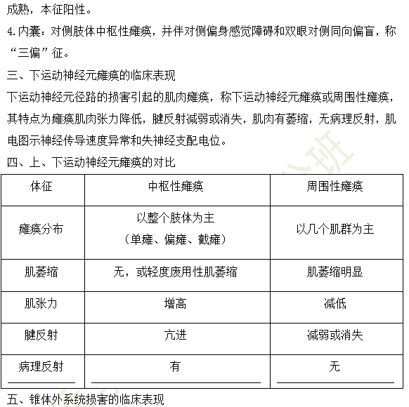 2019年臨床執(zhí)業(yè)醫(yī)師精神神經系統(tǒng)高頻考點匯總第4期