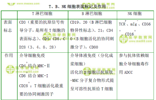 T、B、NK細(xì)胞表面標(biāo)記及作用