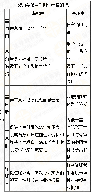 雌、孕激素的生理作用及附性器官的周期性變化