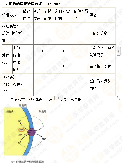 2019年執(zhí)業(yè)藥師《藥一》的藥劑學(xué)，15分鐘經(jīng)典回顧！