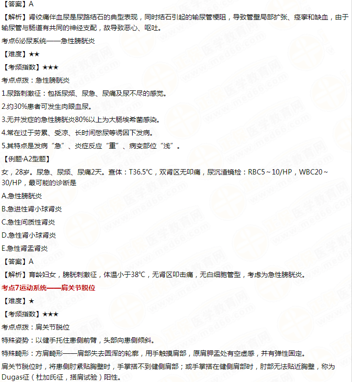 泌尿系統