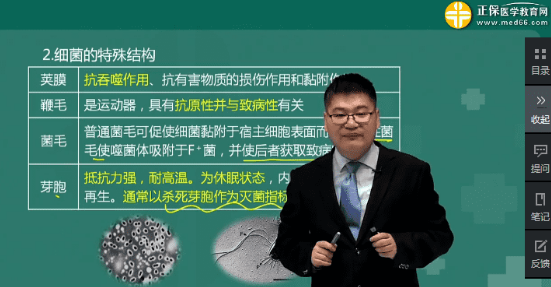 細(xì)菌的運(yùn)動(dòng)形式選鞭毛還是菌毛