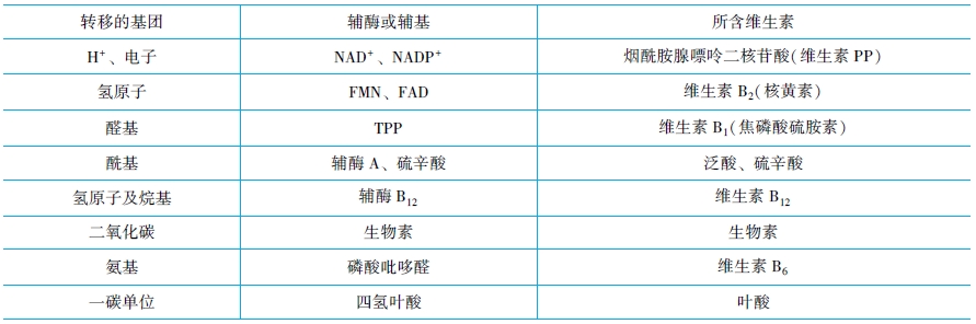 輔酶和輔助因子及酶促反應(yīng)動力學(xué)