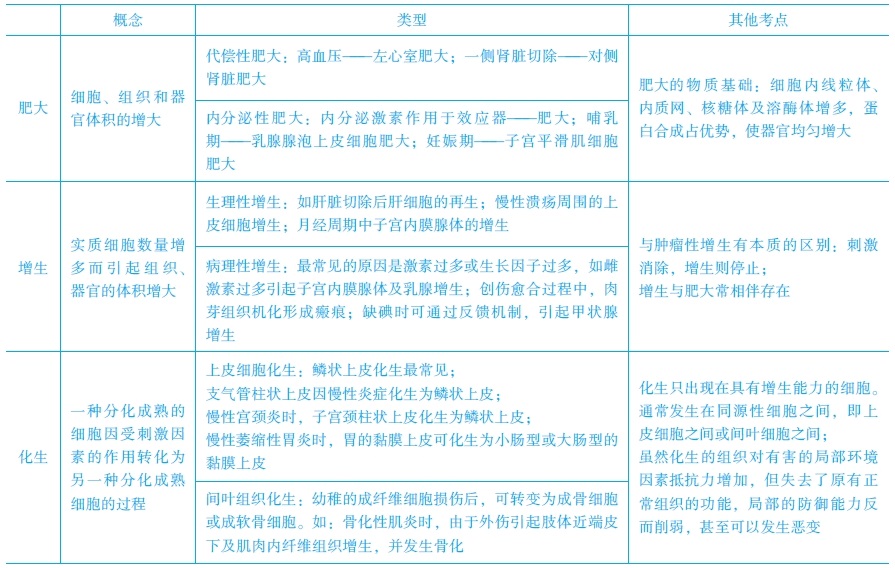 增生、化生和肥大的常見考點　