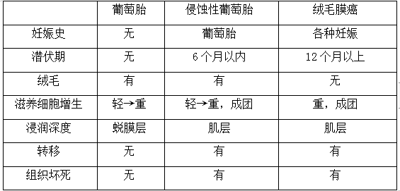 絨癌、侵蝕性葡萄胎、葡萄胎的鑒別