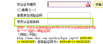 報告