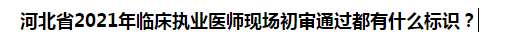 河北省2021年臨床執(zhí)業(yè)醫(yī)師現(xiàn)場初審?fù)ㄟ^都有什么標(biāo)識(shí)？
