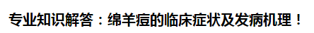 專業(yè)知識解答：綿羊痘的臨床癥狀及發(fā)病機(jī)理！