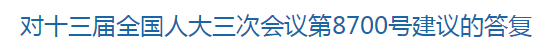 對(duì)十三屆全國人大三次會(huì)議第8700號(hào)建議的答復(fù)